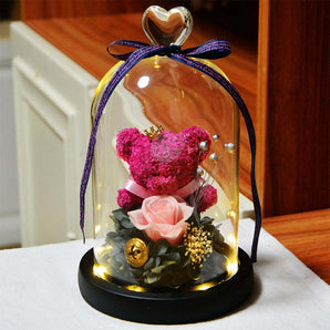 Eternal Flower Rose Bear Glass Cover with LED Light Valentine Day